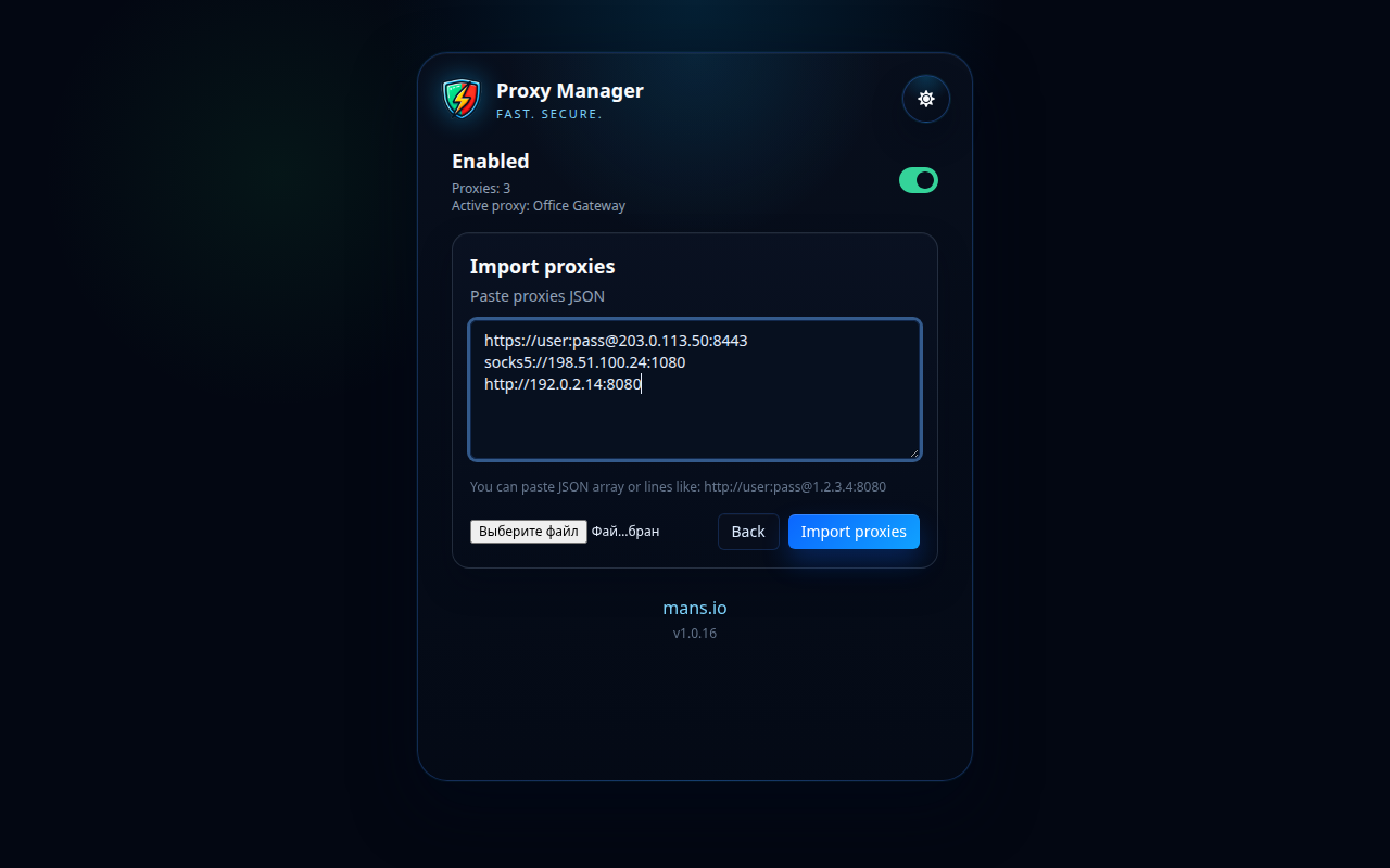 Proxy Manager importavimo ekranas